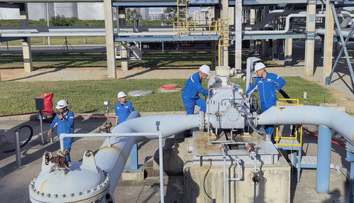 直通國(guó)家管網(wǎng) 廣東石化成品油管輸正式啟運(yùn)，譜寫(xiě)能源輸送新篇章